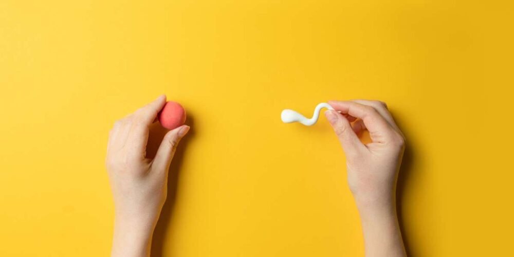 Top 10 IVF Treatment Benefits Everyone Should Know in 2023 7 IVF Treatment Benefits